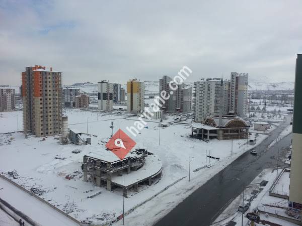 ÖZ-DEM Organik Süt Market