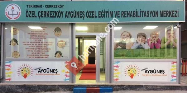 Özel Çerkezköy Aygüneş Özel Eğitim Ve Rehabilitasyon Merkezi