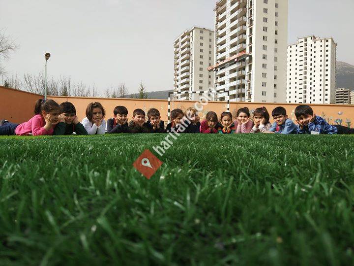 Özel Kahramanmaraş AtomKarıncalar Anaokulu