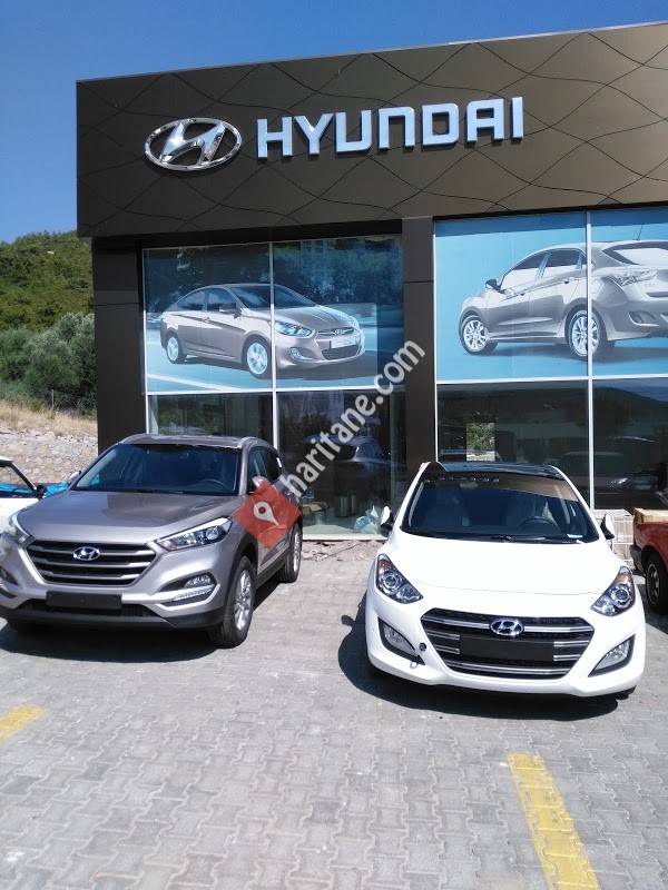 Özer Hyundai