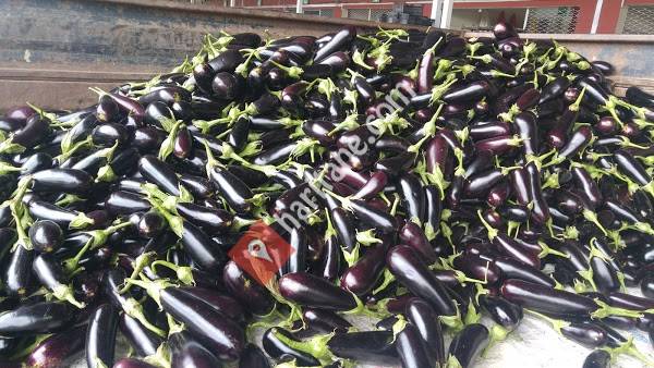 özgüven sebze hal no 5