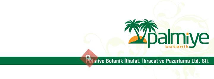 Palmiye Botanik