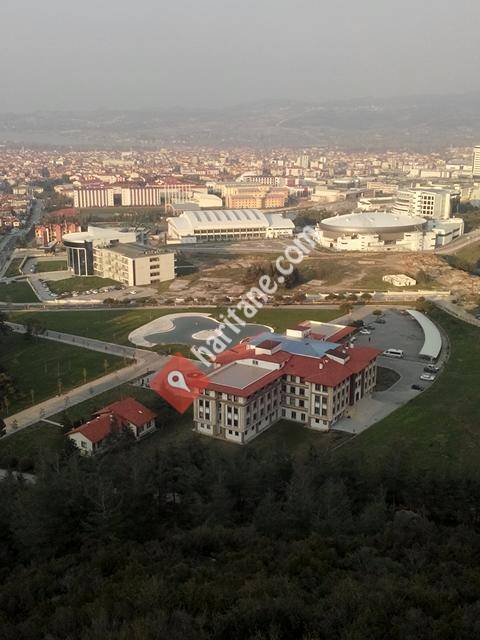 Pamukkale Üniversitesi Eğitim Fakültesi