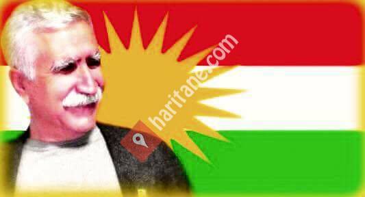 Partiya Sosyalîst a Kurdistan-PSK
