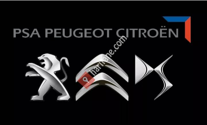 Peugeot Citroen DS service