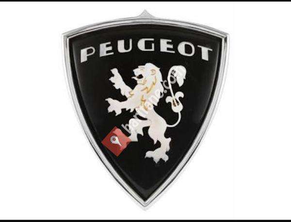 Peugeot Özel Servis