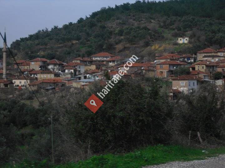 Pirahmet Köyü