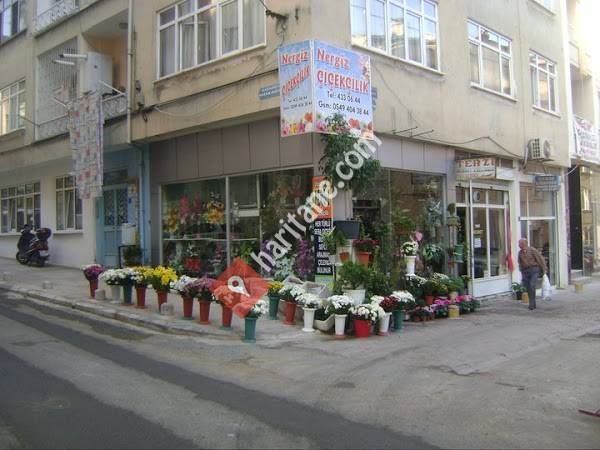 Prenses Organizasyon