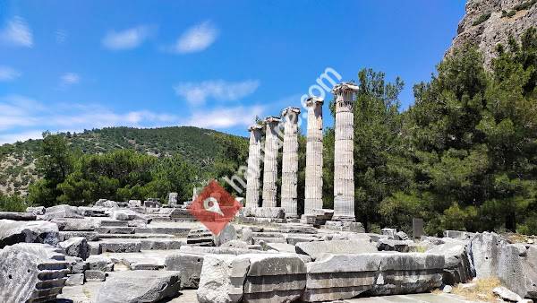 Priene Antik Akropolis