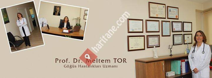 Prof. Dr. Meltem Tor