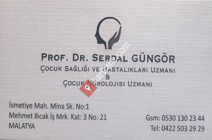 Prof. Dr. Serdal Güngör