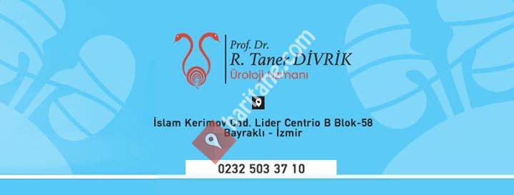 Prof. Dr. Taner Divrik