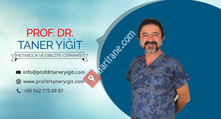 Prof. Dr. Taner Yiğit