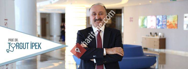 Prof. Dr. Turgut İpek