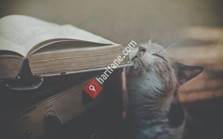 Radyo Batman Fm 92.2