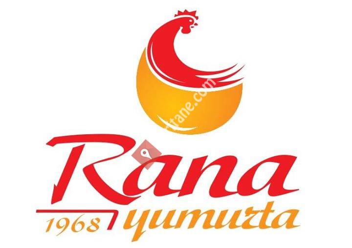Rana Yumurta Kurumsal