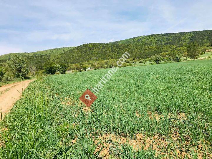 Rehber gayrimenkuldanışmanlık