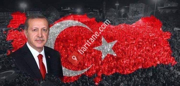 Rt Erdoğan