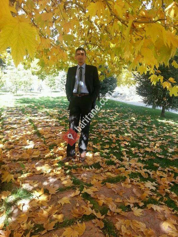Ruh Sağlığı Ve Hastalıkları Hastanesi