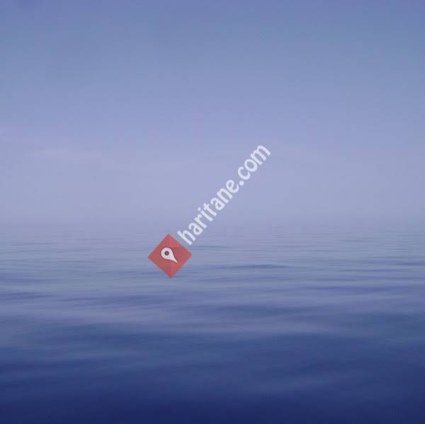 S.MUHASEBECİ MALİ MÜŞAVİR AYHAN ERDEĞER