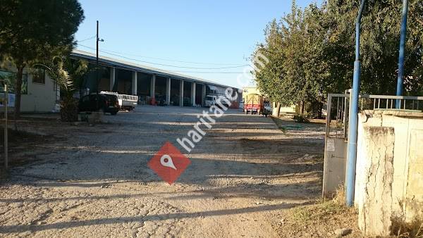 S.S.986 NOLU BOZDOĞAN ZEYTİN VE ZEYTİNYAĞI TARIM SATIŞ KOOPERATİFİ