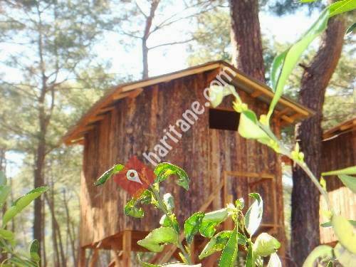 Saban Pansion Treehouses