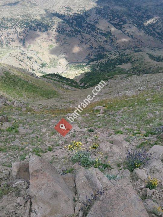 Sağnis Kartal Dağı