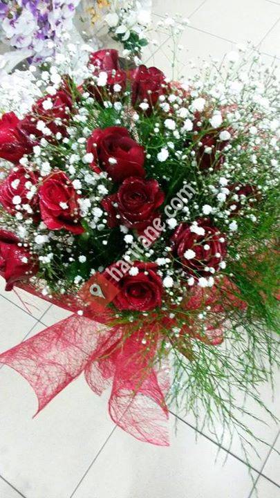 ŞAH MÜZİK ORGANİZASYON