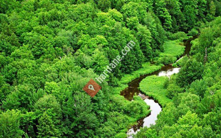 Şahin Aktaş Ormancılık-Danışmanlık ve Mühendislik Bürosu