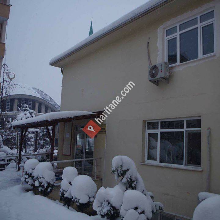 Sakarya Üniversitesi Eğitim Bilimleri Enstitüsü