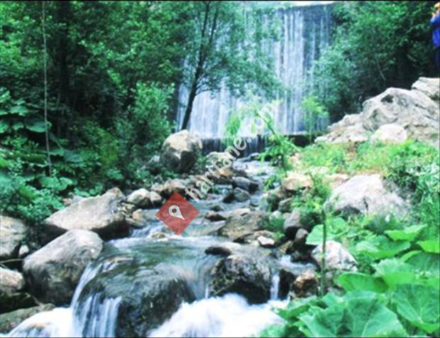 Saklı Cennet Sarıkavak