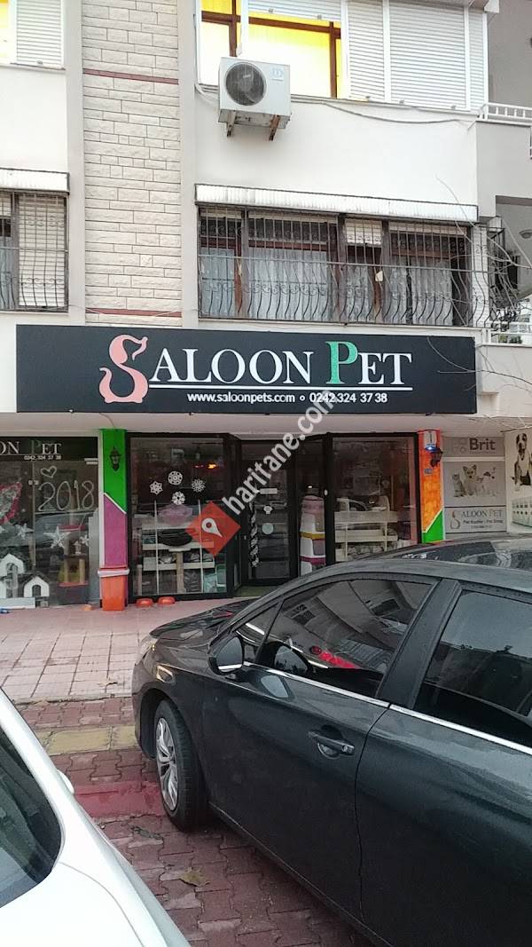 Saloon Pet