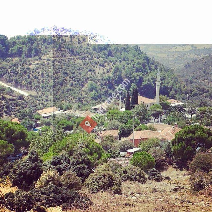 Samanlık Köyü