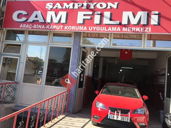 Şampiyon Oto Cam Ve Film