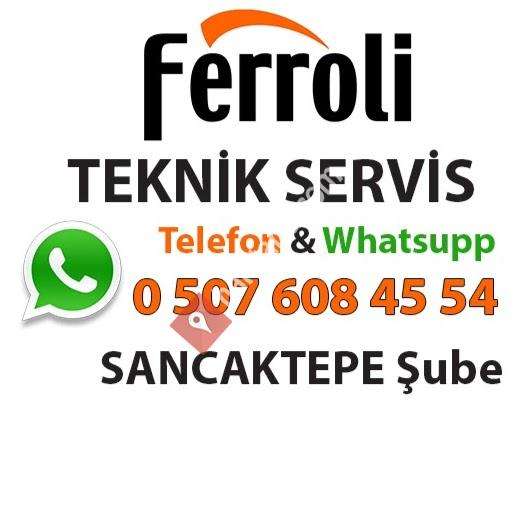 Sancaktepe Ferroli Servisi