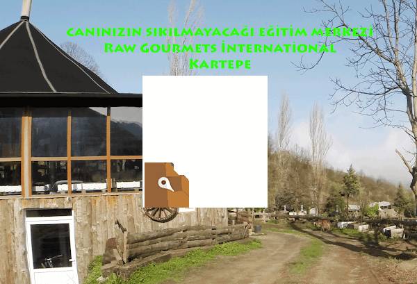 Şef Mehmet Ak Raw Food Çiğ Beslenme Akademisi ve Zayıflama Kampı