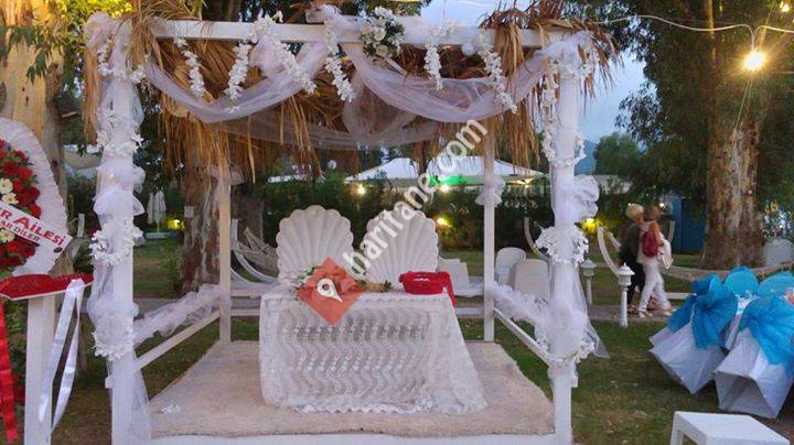 Sefam çiçekçilik-organizasyon