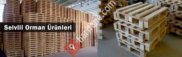 Selvili Orman Ürünleri