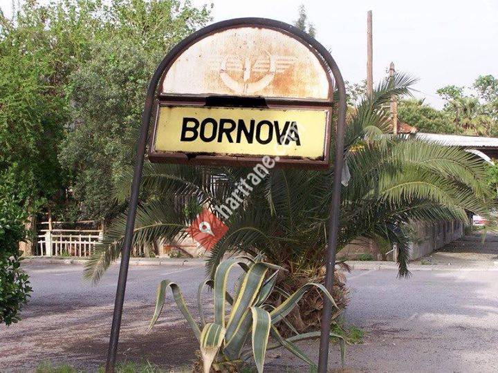 Semt-i Bornova