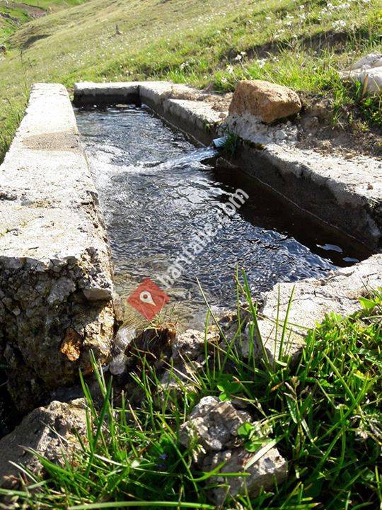 Şen market ve yanbolu taş değirmeni