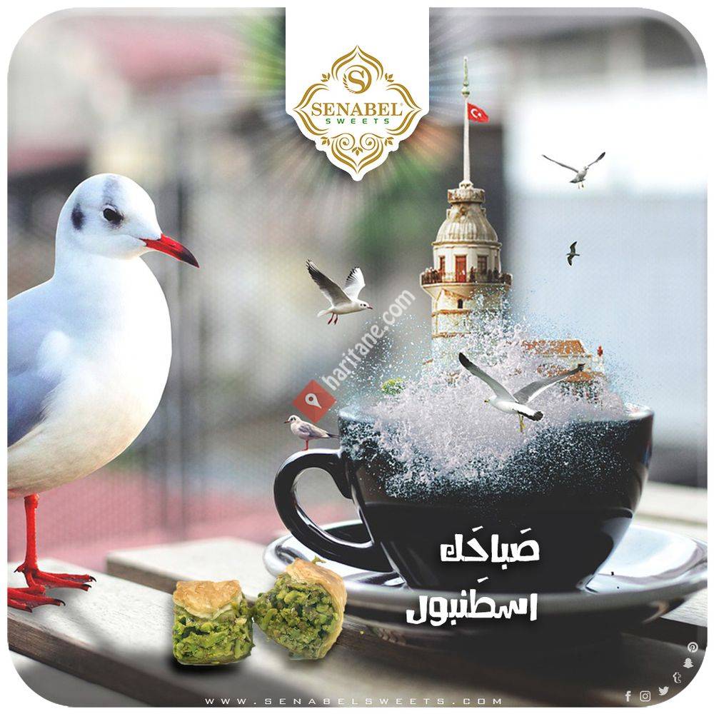 Senabel Sweets