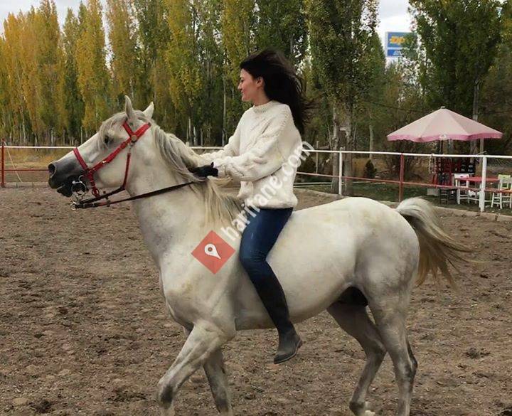 Sivas Osmanlı Atlı Spor Ve Binicilik Kulübü