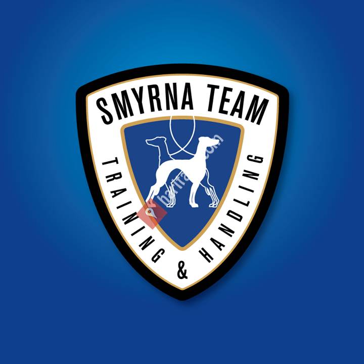 Smyrna Team
