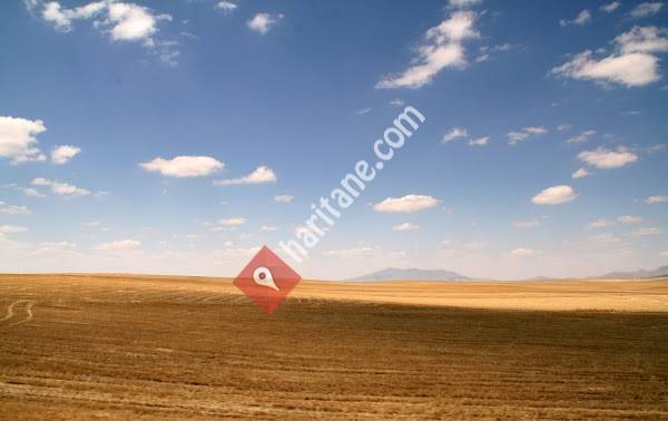 Soil-kızıldağ Petrol