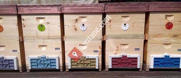 Soylu Kovancılık Bee Hive Box