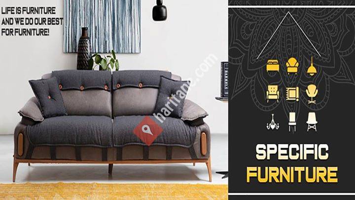Specific Furniture