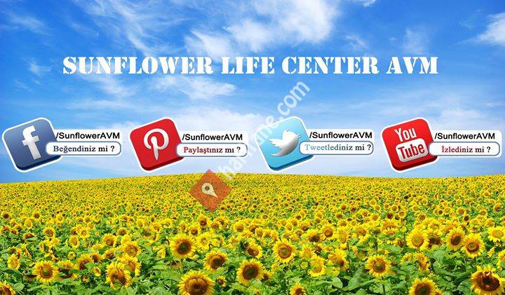 Sunflower Life Center AVM