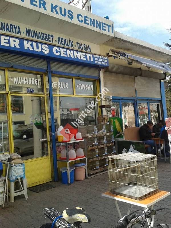 kayseri pet shop