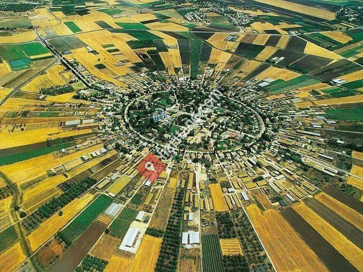 SURUÇ bilgi sayfası