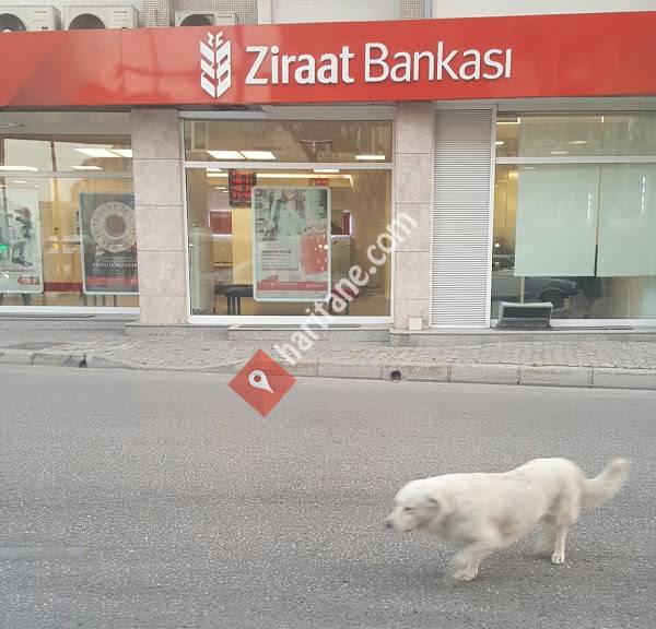 T.C. Ziraat Bankası Zafer Şubesi